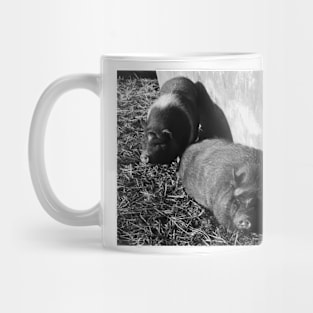 Siesta Mug